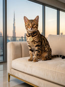 ROLLEMAN® Haustieranhänger | Vergoldeter Anhänger | Hund · Katze · Kaninchen